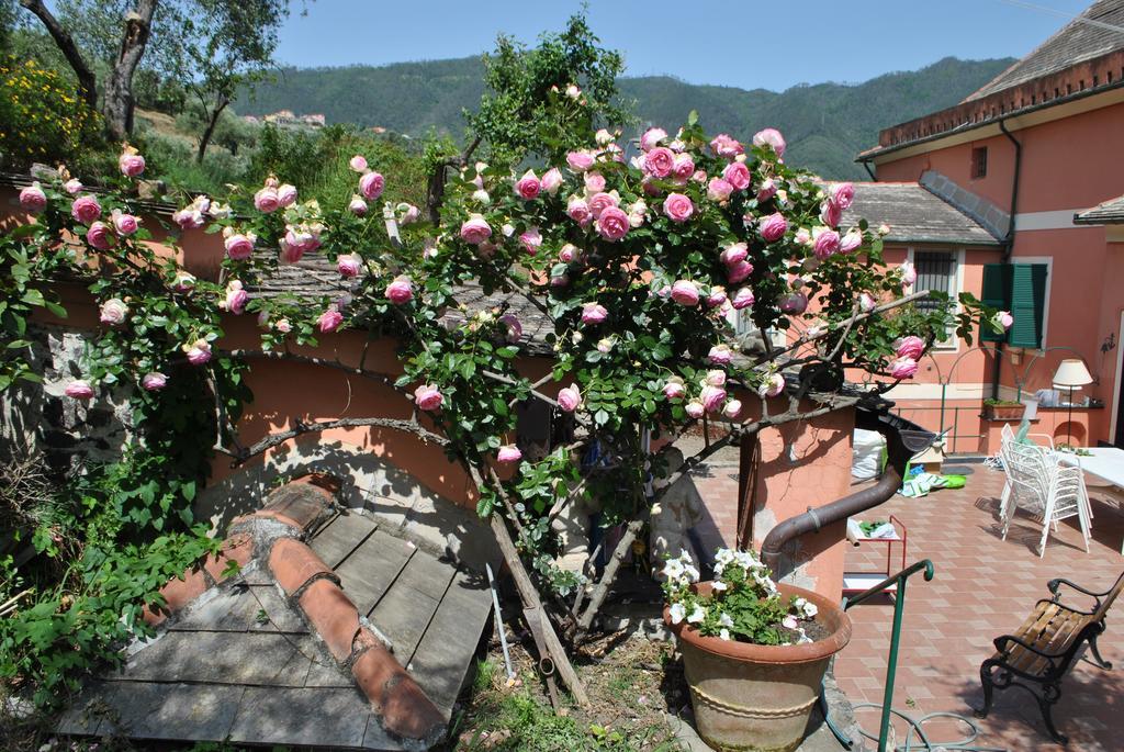 L' Amandola Villa Levanto Exterior photo